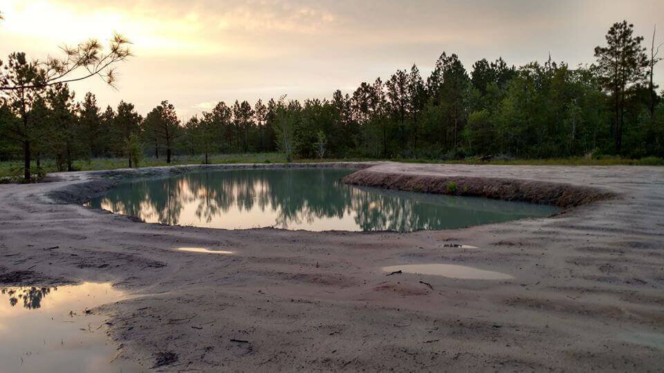 Pond Digging